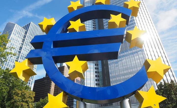 Strefa euro  / autor: Pixabay 