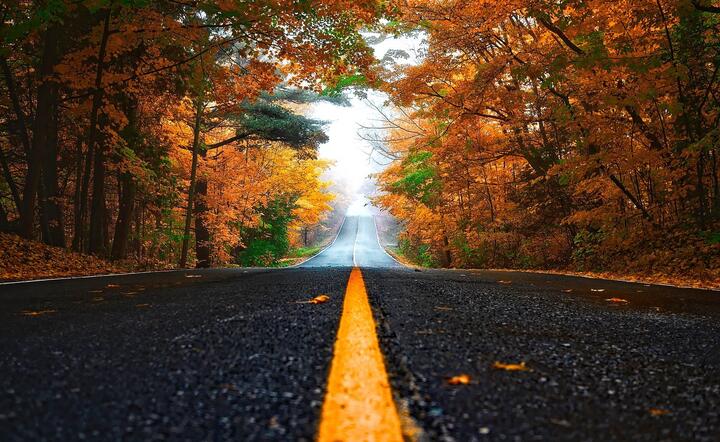 Samorządy mogą starać się o dofinansowanie / autor: pixabay.com