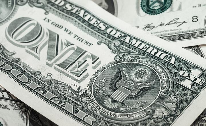 Dolar / autor: Pixabay