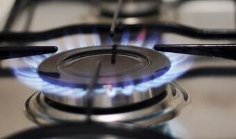 Polska Grupa Energetyczna nabędzie za 2 mld złotych gaz z PGNiG