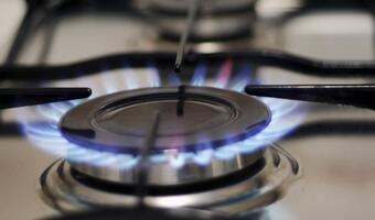 Co z gazem? "Dywersyfikacją i alternatywą dla polskiego miksu energetycznego jest gaz ze Stanów Zjednoczonych"