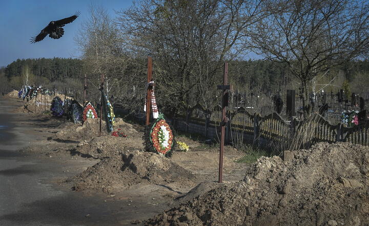 Wojna na Ukrainie / autor: PAP/EPA/