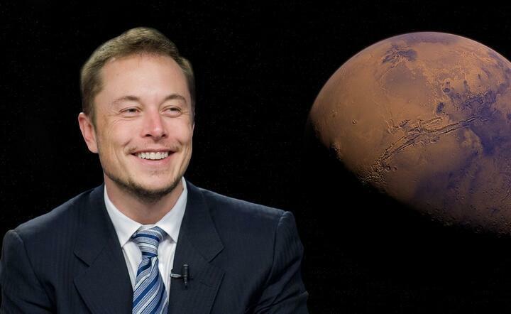 Elon Musk / autor: pixabay.com