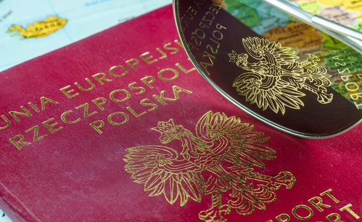 Brak polityki zdolnej do zagospodarowania potencjału Polaków wracających do kraju może spowodować ich ponowny odpływ / autor: Fratria / AS
