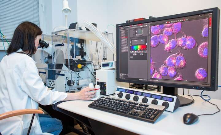 Laboratorium Międzyuczelnianego Wydział Biotechnologii UG i GUMed / autor: materiały prasowe Gdańskiego Uniwersytetu Medycznego w Oliwie