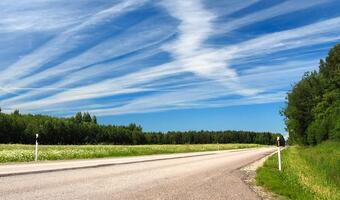Sąd zdecydował: Autostrady nie będzie, bo elfy mogłyby ucierpieć
