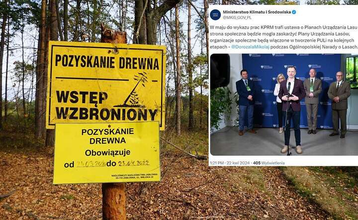 Ekolodzy mają dostać prawo do zaskarżania decyzji leśników / autor: Fratria / X / @MKiS_GOV_PL