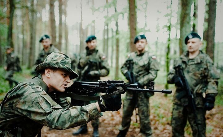 Wojsko Polskie / autor: fot. Fratria