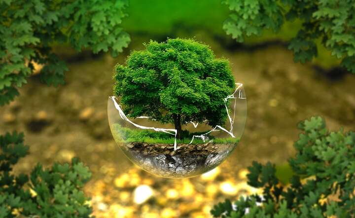Zdjęcie ilustracyjne / autor: fot. Pixabay