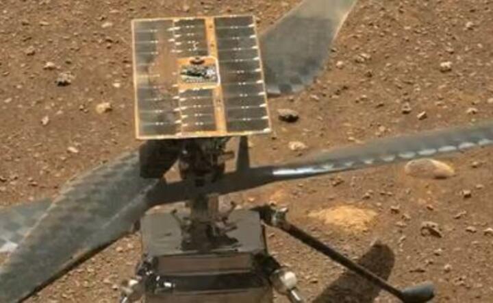 Dron Ingenuity / autor: twitter.com