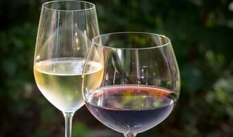 Alkohol codzienne? W Portugalii 21 proc. osób, Polska w tyle