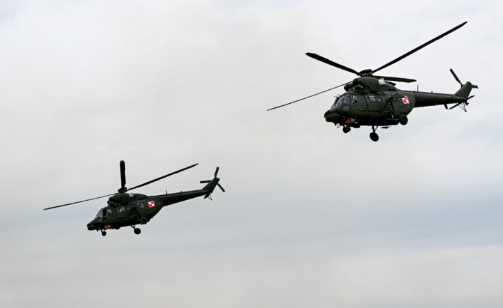 Ćwiczenia Anakonda-23 / autor: PAP/Darek Delmanowicz