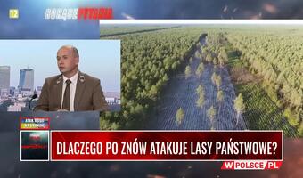 Lasy Państwowe znów pod ostrzałem Niemców i PO