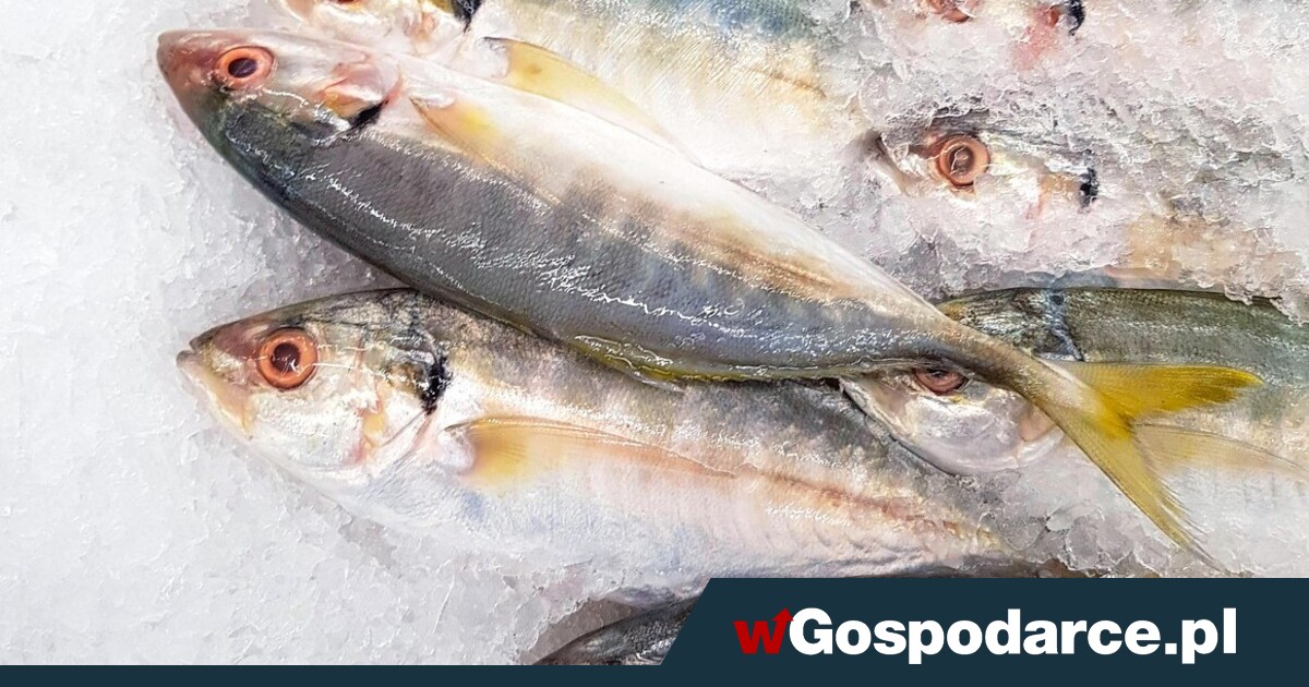 Jak jesienią i zimą zapewnić sobie dość witaminy D?