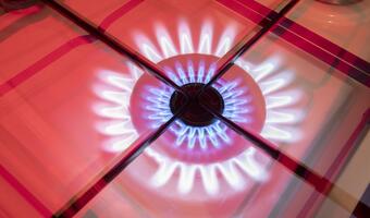 Cena i dostępność LPG istotna dla 41 proc. Polaków