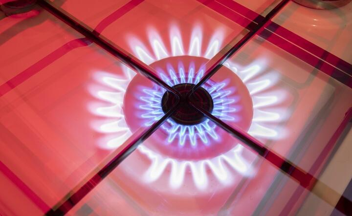 Płynny gaz LPG Polacy używają m.in. butlach do codziennego użytku, np. w kuchni / autor: Fratria / Andrzej Wiktor