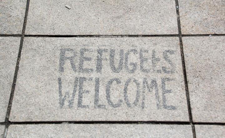 Imigracja / autor: fot. Fratria