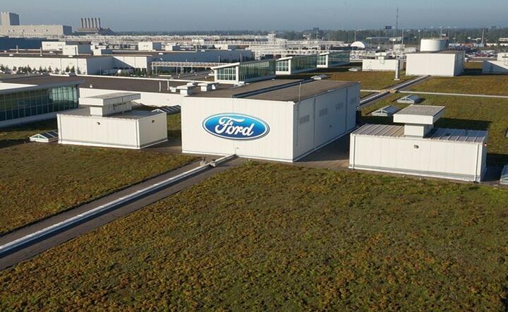 Ford / autor: Materiały Prasowe