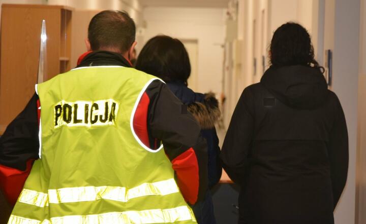 Zatrzymanie  / autor: Podkarpacka policja