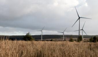 Tauron dementuje: nie otrzymaliśmy pozwu od Invenergy