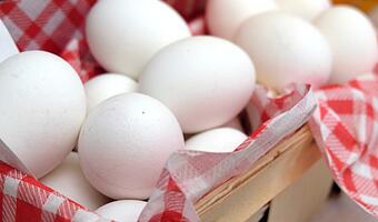 Holandia odrzuca oskarżenia Belgii w sprawie fipronilu; KE apeluje o spokój