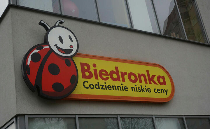 Biedronka / autor: Fratria