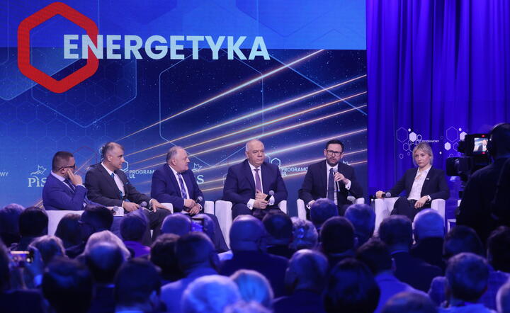 Energetyka / autor: PAP
