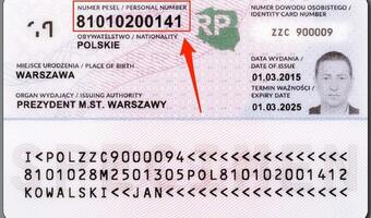 BIK pracuje nad systemem, który pomoże zapobiec kolejnym wyłudzeniom PESEL-ów