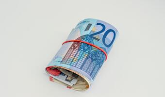 Mocne dane nie wzmocniły euro
