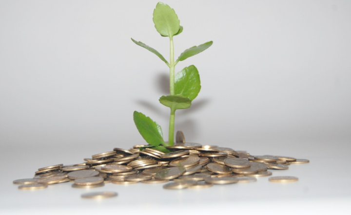 NFOŚiGW jest głównym źródłem finansowania w Polsce inwestycji proekologicznych / autor: pixabay.com/pl