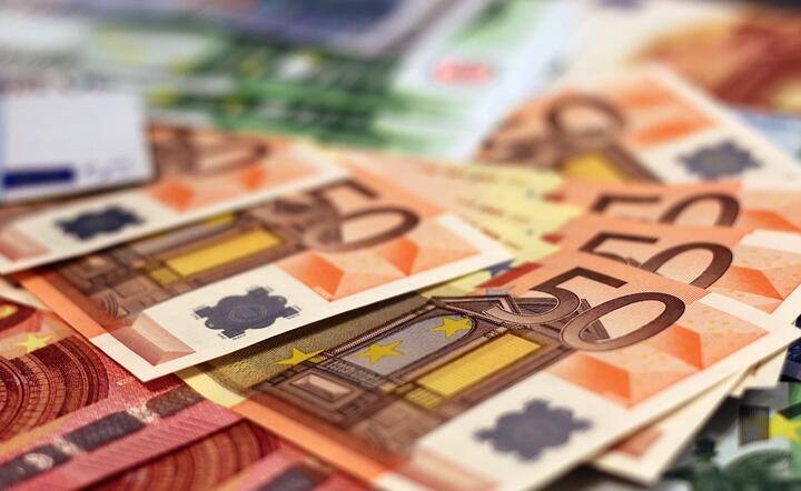 Na wprowadzeniu euro najwięcej skorzystały Niemcy