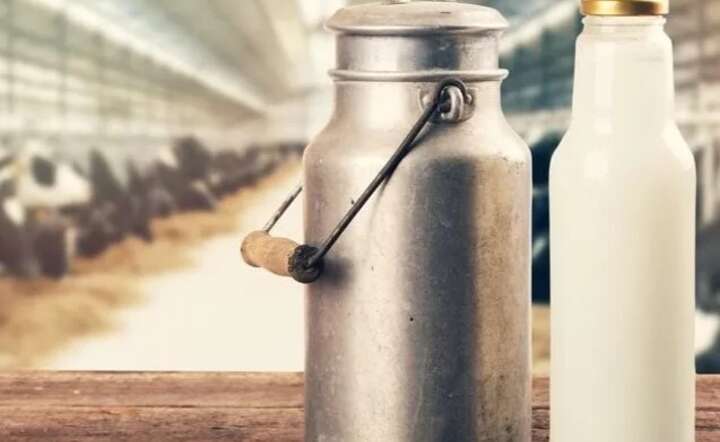 Każdy skup pod kontrolą państwa