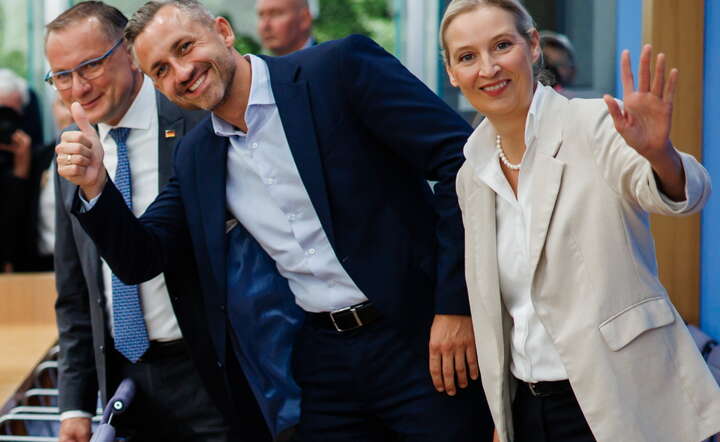 W wyborach w Saksonii-Anhalt zwyciężyła prawicowo-populistyczna Alternatywa dla Niemiec (AfD) zdobywając 43,8 proc. głosów. Partia więcej niż podwoiła swój wynik sprzed pięciu lat w tym landzie, gdy osiągnęła 20,8 proc.  / autor: PAP