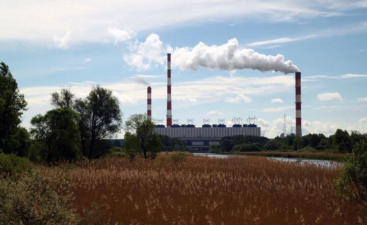 Elektrownia Dolna Odra / autor: PGE