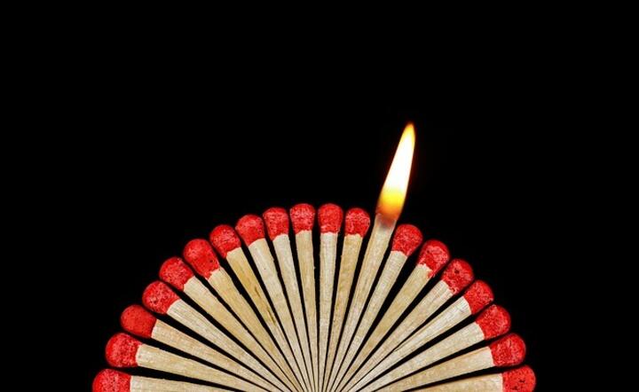 fot. Pixabay / autor: fot. Pixabay