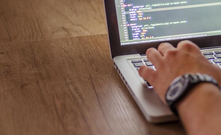 Wspólna Infrastruktura Informatyczna Państwa / autor: Pixabay