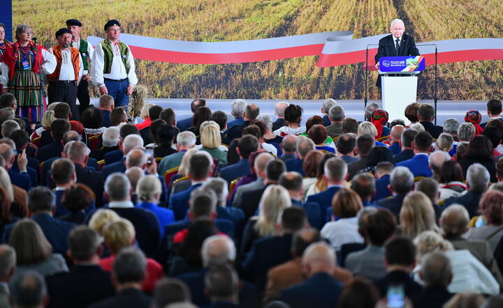 Polski Ład dla rolnictwa / autor: PAP/Piotr Polak