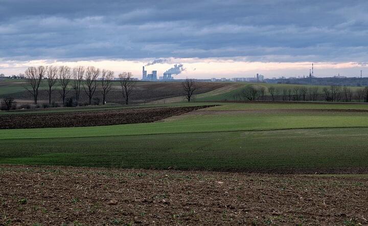 Wśród rolników w związku z kryzysem dominują obawy o brak dopływu sezonowej siły roboczej, głównie w sektorze owoców i warzyw / autor: Pixabay