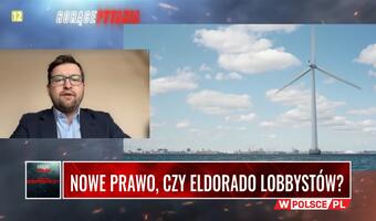 "Afera wiatrakowa". Oni chcą likwidacji państwowego OZE