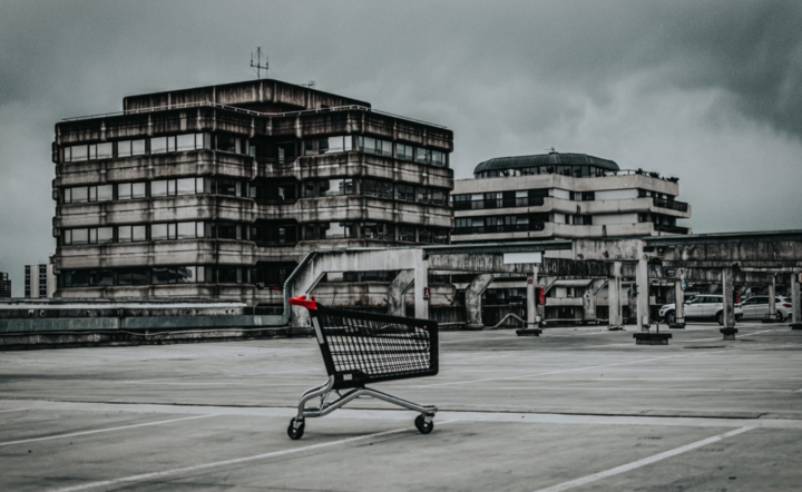 Zdjęcie ilustracyjne / autor: Pexels.com