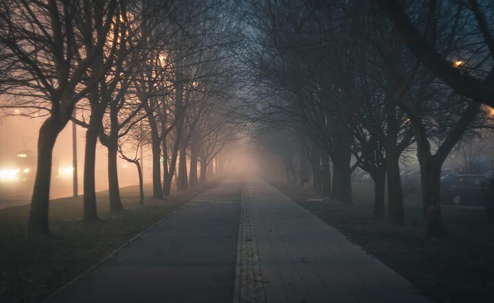fot. Pixabay / autor: fot. Pixabay