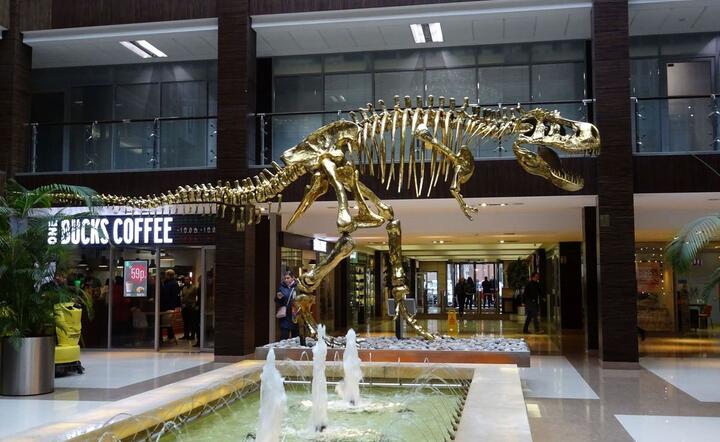 Dinozaur / autor: fot. Fratria