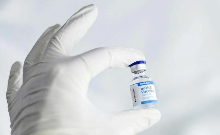 Do tej pory szczepionka firmy Pfizer była dopuszczona w USA od 5. roku życia / autor: Pixabay