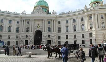 Austriacy mają dość prostytucji imigrantów