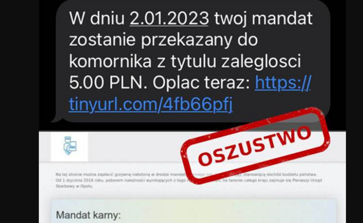Zdjęcie ilustracyjne / autor: NASK