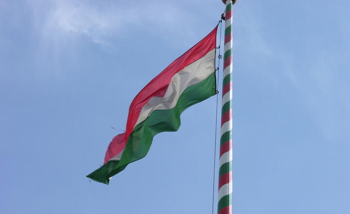 Fot. Freeimages/Csaba Moldovan