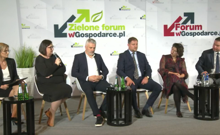 Zielone forum wGospodarce / autor: Fratria