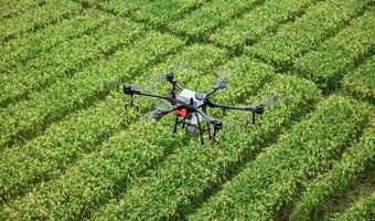 Zielone światło dla dronów na polu