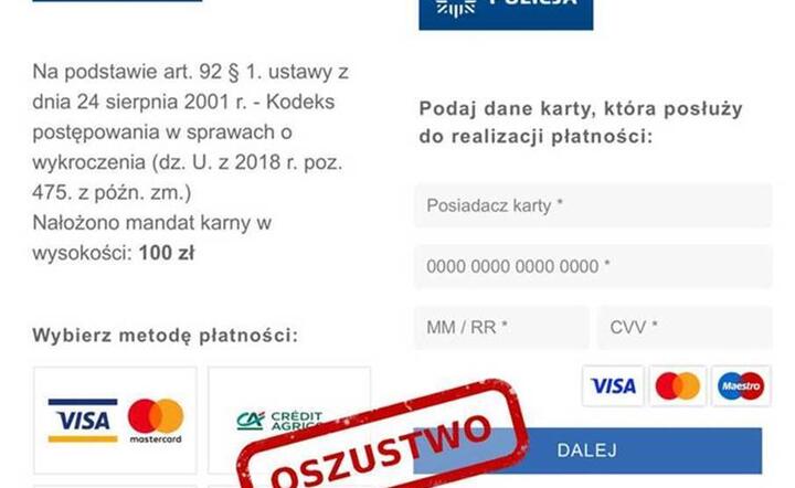 Zdjęcie ilustracyjne / autor: NASK