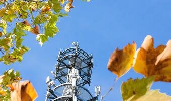 Francja. Radna popiera niszczenie masztów 5G